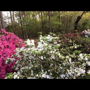 Meet your Posher, Claudette